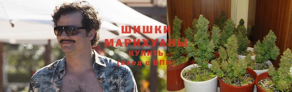 PSILOCYBIN Кинешма